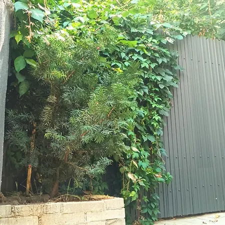 Littlehouse- Entire For Maximum 4 People