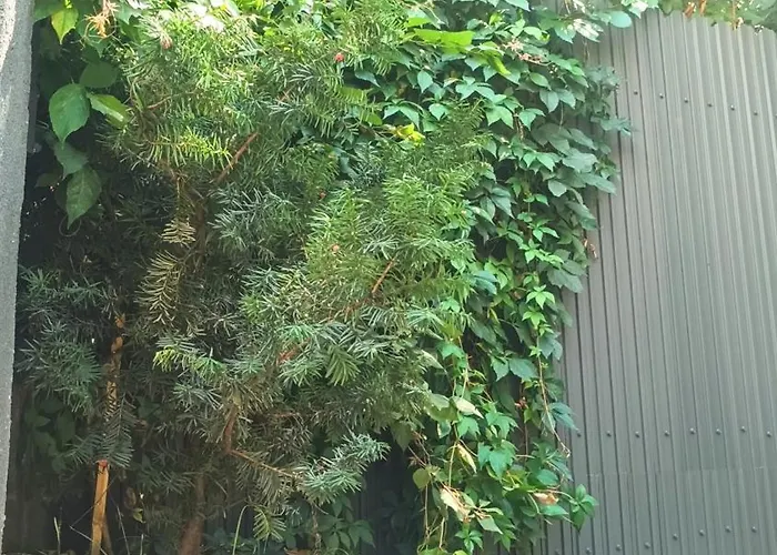 Littlehouse- Entire For Maximum 4 People